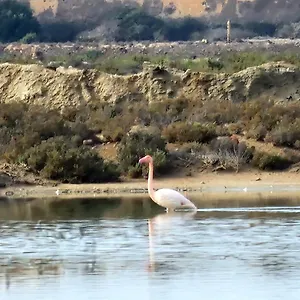 Apartamento Flamingos View In Cabo De Gata, El Pozo del Cabo